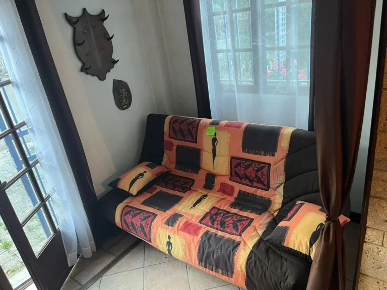Canapé et décoration avant le débarras d'une maison aux Hauts de Massane, à Montpellier